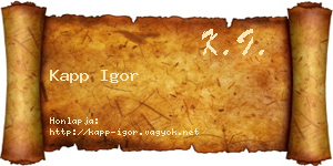Kapp Igor névjegykártya